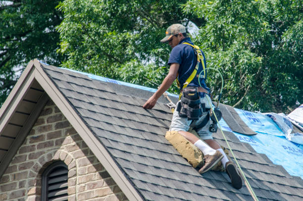 Best Shingle Roofing Installation  in Florence, MS